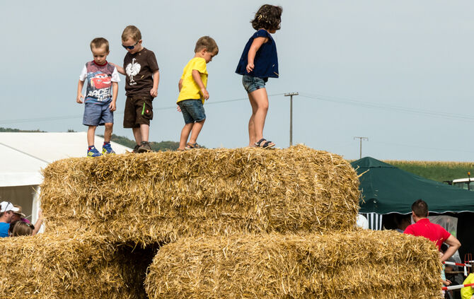 Trecker Treck Bittenfeld - Bild 01_0