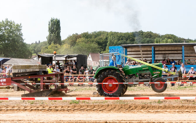 Trecker Treck Bittenfeld - Bild 54_53