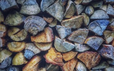 wood-1246276_1920_0