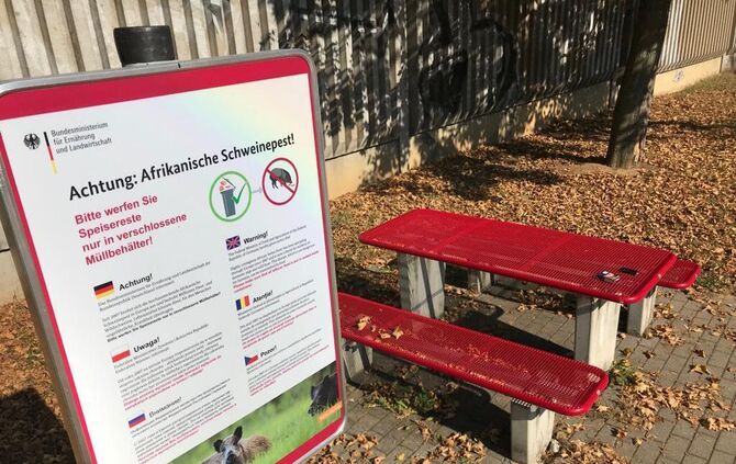 Schweinepest Warnschilder_0