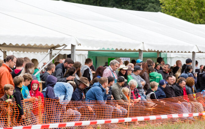 5. Stoppelacker-Rennen - Bild 26_25