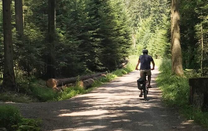 11ee0620-5515-4e07-9b32-a432b2276165.jpg_0