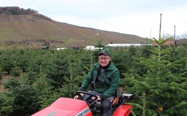 Christbaum Weihnachtsbaum Kleinheppach Korb_0