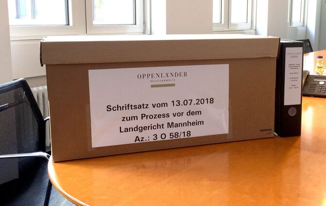 AfD Hetze Gericht Mannheim Landtag Kontext_0