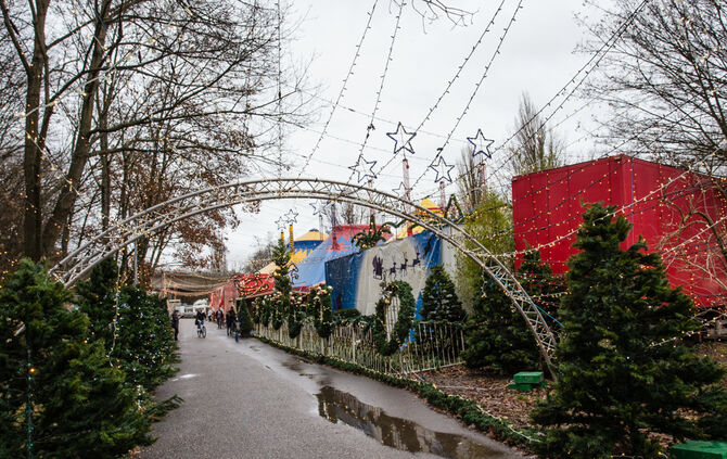 Lions-Club im Weihnachtszirkus - Bild 12_12