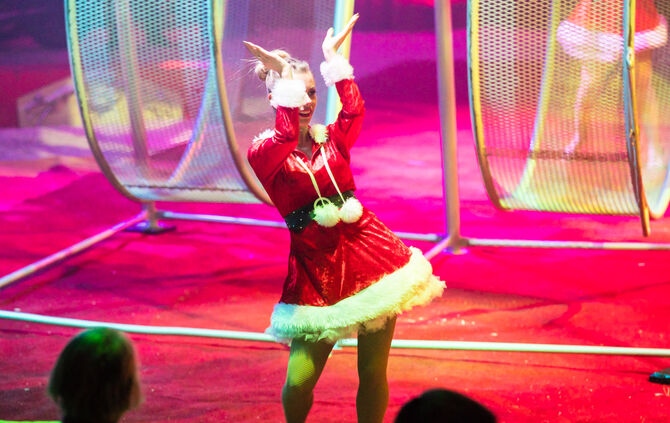 Lions-Club im Weihnachtszirkus - Bild 30_30