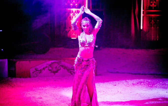 Lions-Club im Weihnachtszirkus - Bild 34_33