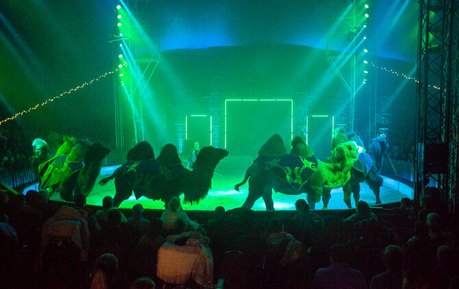 Lions-Club im Weihnachtszirkus - Bild 44_43