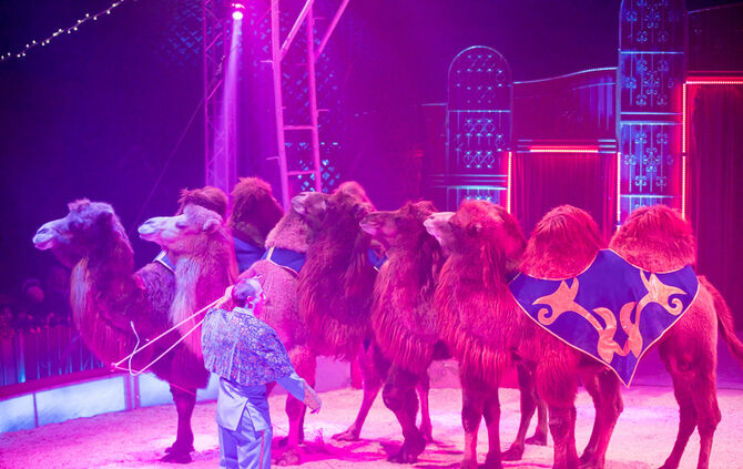 Lions-Club im Weihnachtszirkus - Bild 45_44