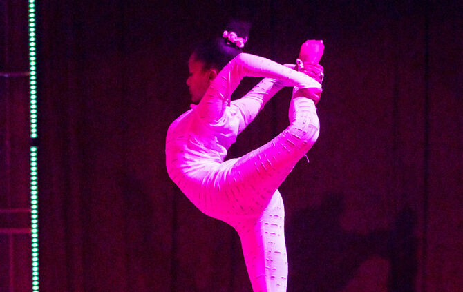 Lions-Club im Weihnachtszirkus - Bild 46_45