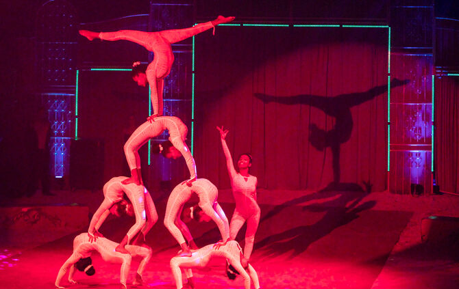 Lions-Club im Weihnachtszirkus - Bild 48_47