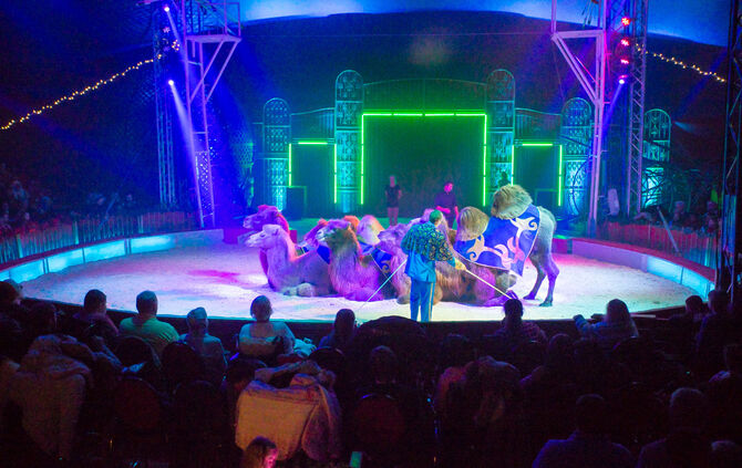 Lions-Club im Weihnachtszirkus - Bild 51_50