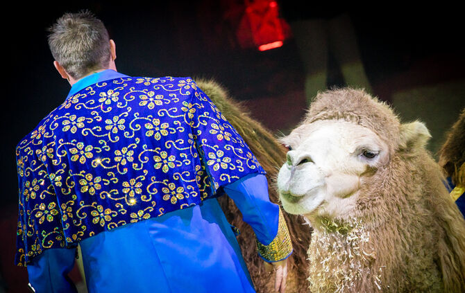 Lions-Club im Weihnachtszirkus - Bild 55_54