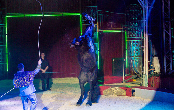 Lions-Club im Weihnachtszirkus - Bild 56_55