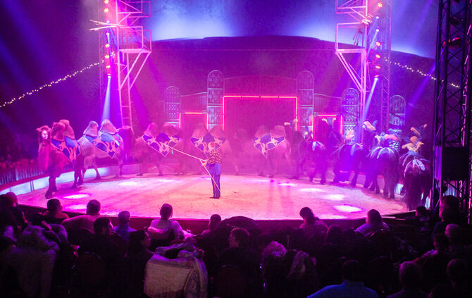 Lions-Club im Weihnachtszirkus - Bild 58_57