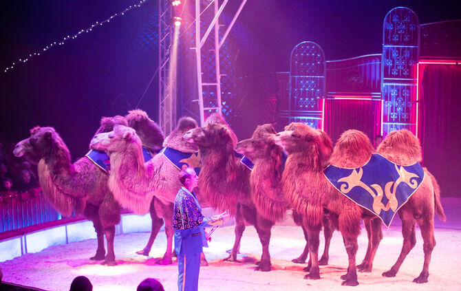 Lions-Club im Weihnachtszirkus - Bild 59_58