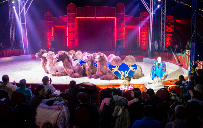 Lions-Club im Weihnachtszirkus - Bild 60_59