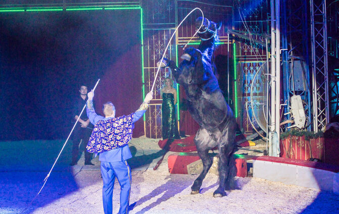 Lions-Club im Weihnachtszirkus - Bild 62_61