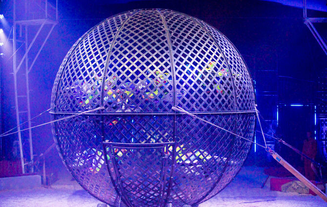 Lions-Club im Weihnachtszirkus - Bild 66_65