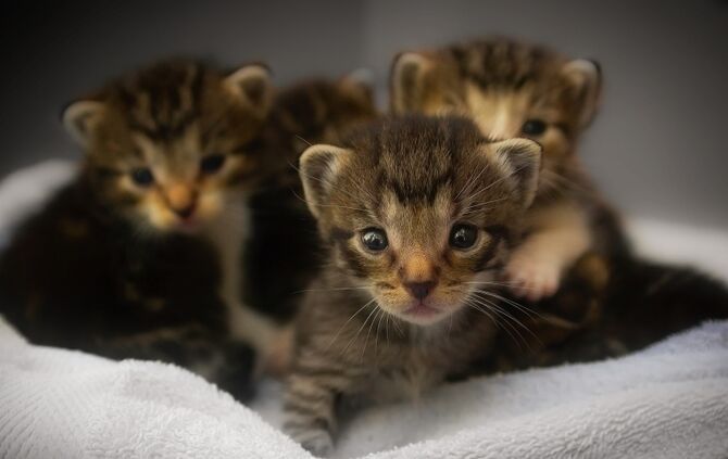 5087b84b-79b2-4cc8-9346-89010444131e.jpg_0