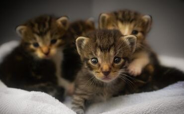 5087b84b-79b2-4cc8-9346-89010444131e.jpg_0