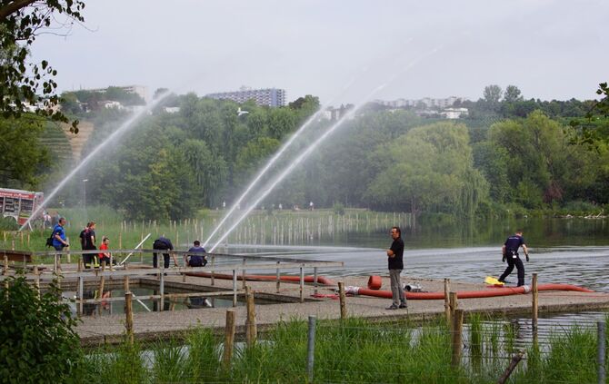 Max-Eyth-See umgekippt_0