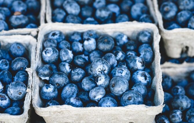 Heidelbeere Heidelbeeren Blaubeeren_0
