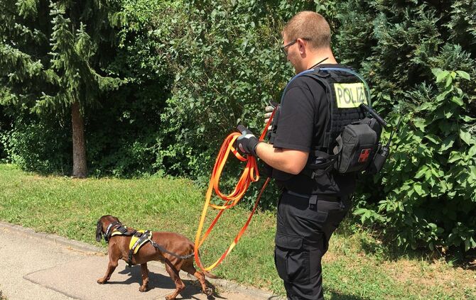 Am Mittwoch war erneut ein Spürhund in Plüderhausen im Einsatz_0