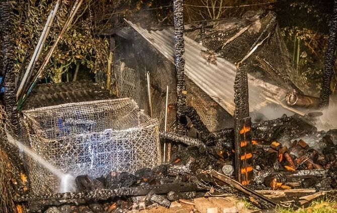Wieder Brandstiftung? - Bild 26_23