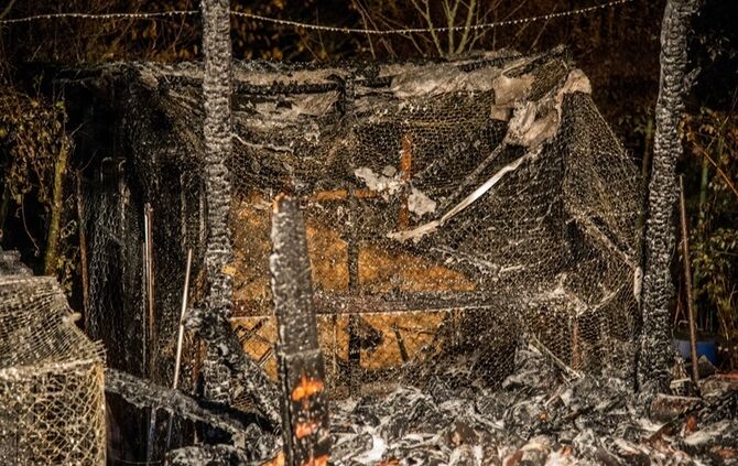 Wieder Brandstiftung? - Bild 28_25
