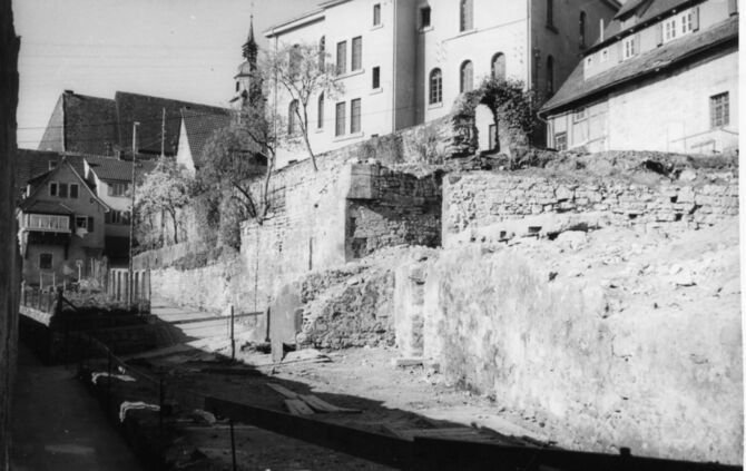 41342b6d-1fd4-4b11-87c5-f3d5d9397f73.jpg_0