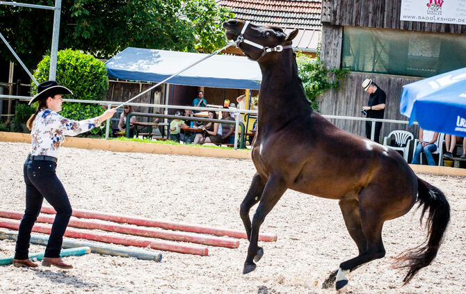 Birkenhof Classic 2018 - Bild 49_0