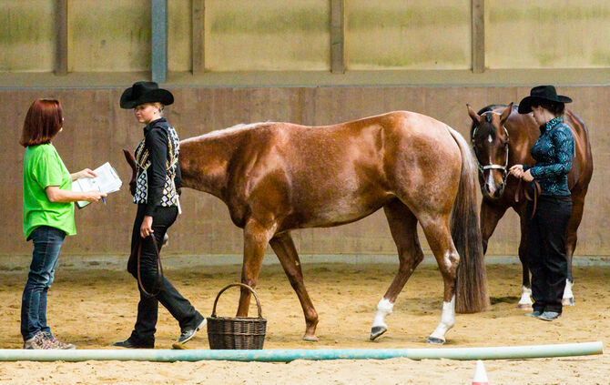 Birkenhof Classic 2018 - Bild 02_2