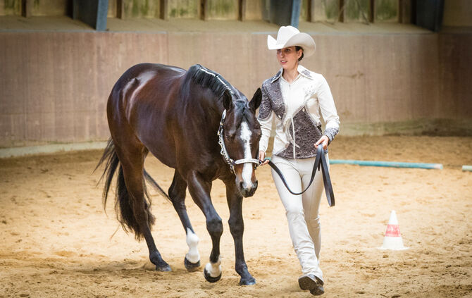 Birkenhof Classic 2018 - Bild 07_7