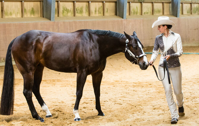 Birkenhof Classic 2018 - Bild 09_9