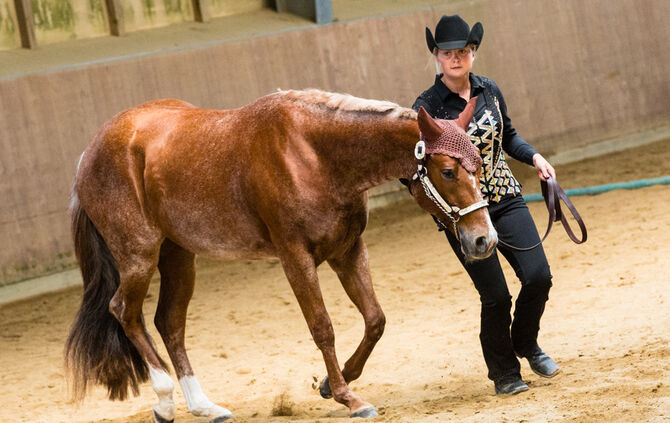 Birkenhof Classic 2018 - Bild 10_10