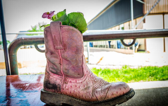 Birkenhof Classic 2018 - Bild 13_13