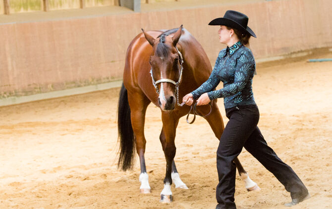 Birkenhof Classic 2018 - Bild 15_15