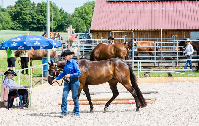 Birkenhof Classic 2018 - Bild 22_22