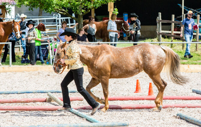 Birkenhof Classic 2018 - Bild 26_26