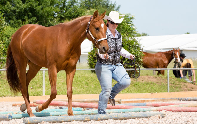 Birkenhof Classic 2018 - Bild 28_28