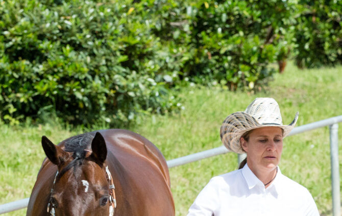 Birkenhof Classic 2018 - Bild 30_30