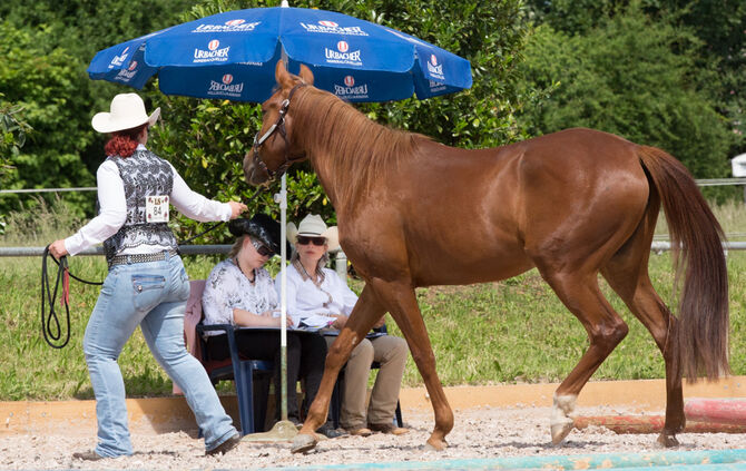 Birkenhof Classic 2018 - Bild 32_32