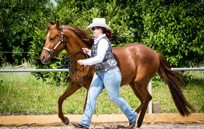 Birkenhof Classic 2018 - Bild 33_33
