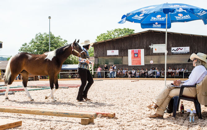 Birkenhof Classic 2018 - Bild 34_34