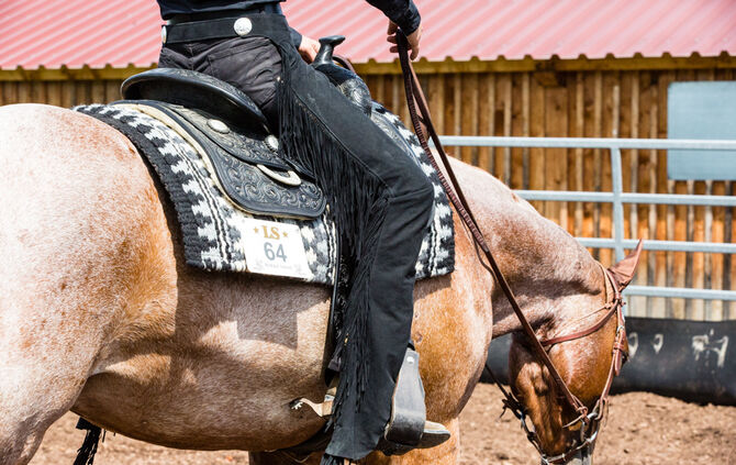 Birkenhof Classic 2018 - Bild 36_36