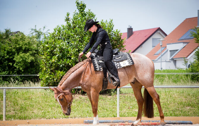 Birkenhof Classic 2018 - Bild 38_38