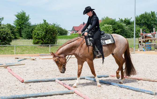 Birkenhof Classic 2018 - Bild 39_39