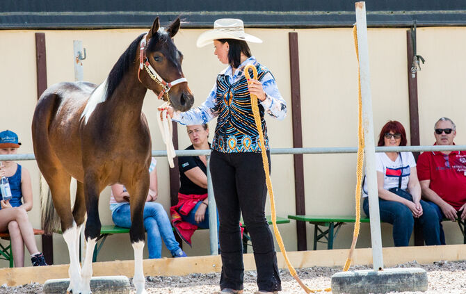 Birkenhof Classic 2018 - Bild 46_46
