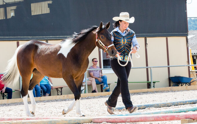 Birkenhof Classic 2018 - Bild 47_47